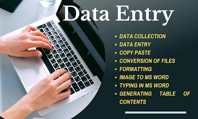 Gig Preview - Provide accurate and efficient data entry services