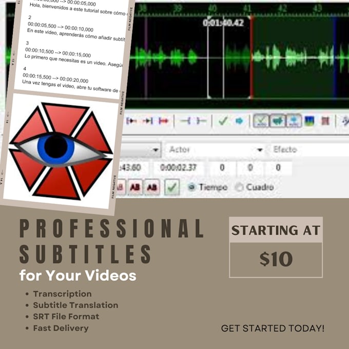 Gig Preview - Create accurate and professional subtitles for your videos