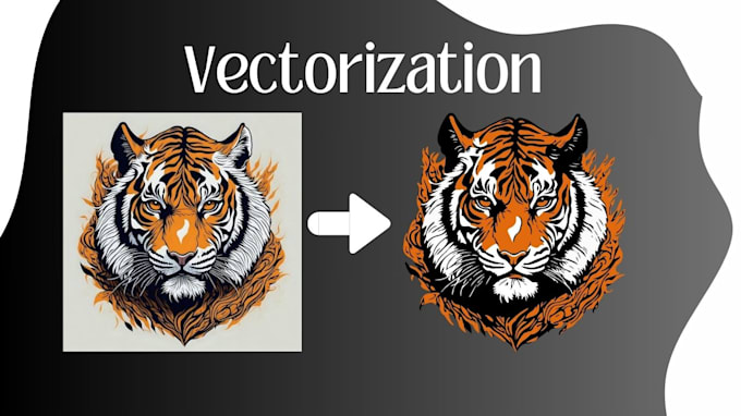 Bestseller - make the vectorization of your image