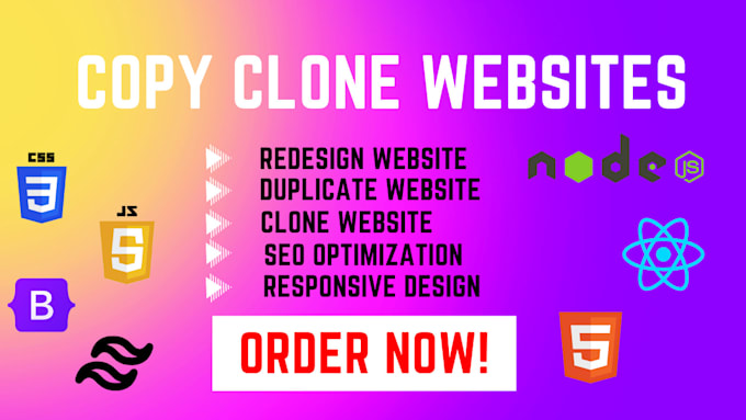 Gig Preview - Copy clone duplicate website using HTML , CSS , js and reactjs