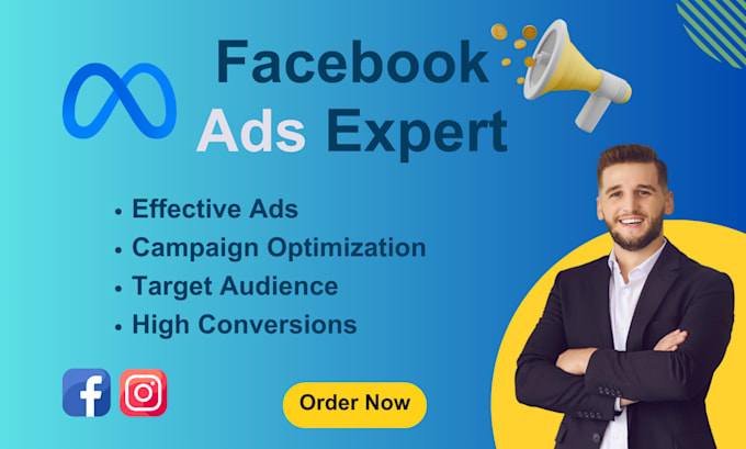 Gig Preview - Setup and manage facebook ads and instagram ads campaigns