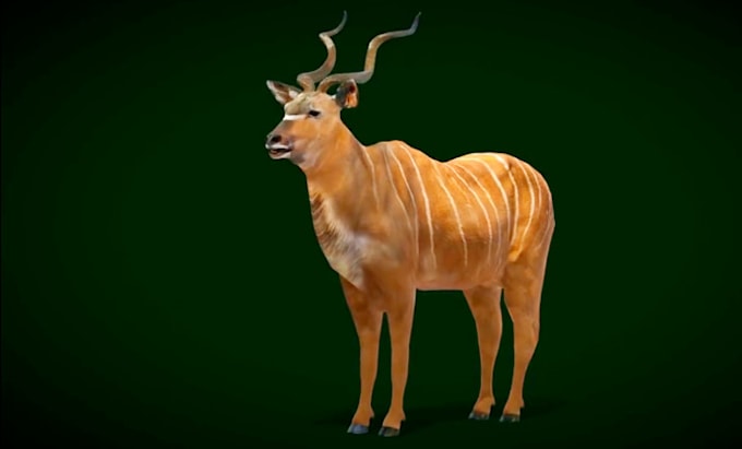 Gig Preview - Realistic 3d animal model animal animation diorama 3d model for video ue game