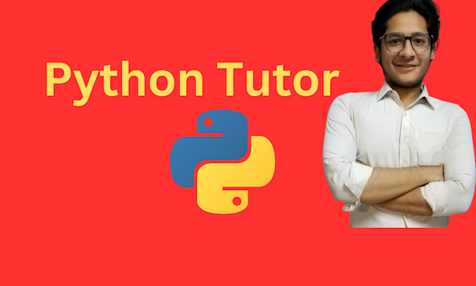 Gig Preview - Teach you python programming