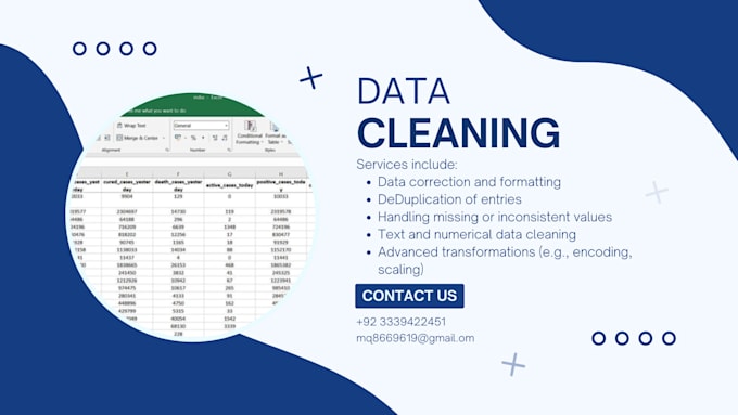 Gig Preview - Clean and preprocess your data for accurate analysis