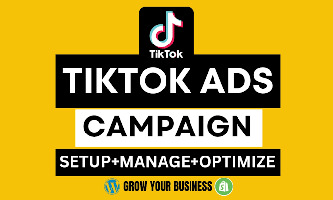 Gig Preview - Setup tiktok ads campaign, tiktok ads, tiktok ads manager, tiktok video