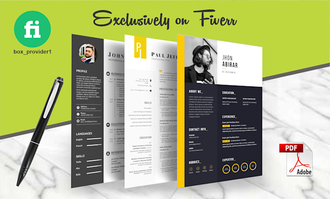 Gig Preview - Perform professional resume design and CV design