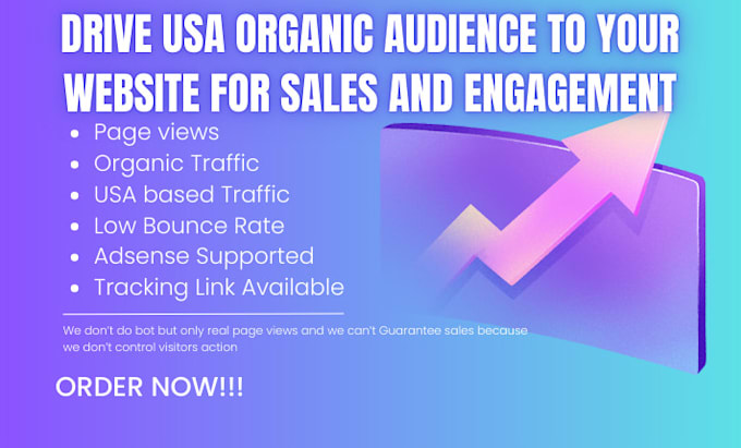 Gig Preview - Drive USA organic audience to your website for sales and engagement