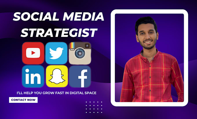 Gig Preview - Professional social media strategist online brand