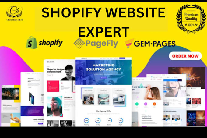 Gig Preview - Help revamp redesign edit your shopify store design shopify website dropshipping