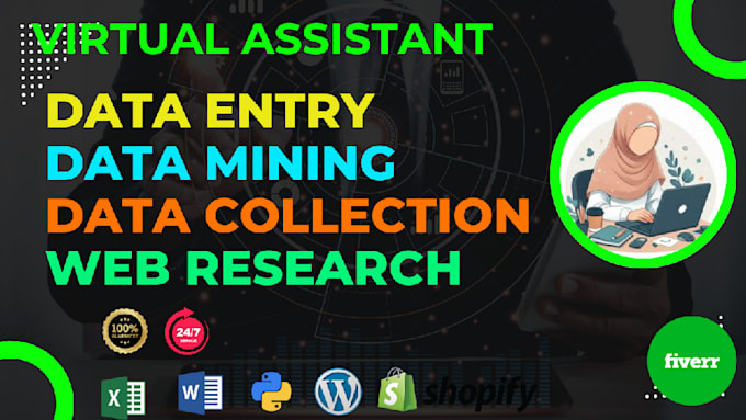 Gig Preview - Your virtual assistant for data entry, data mining, web research