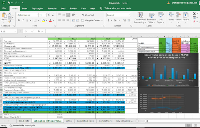 Gig Preview - Provide investor ready financial models