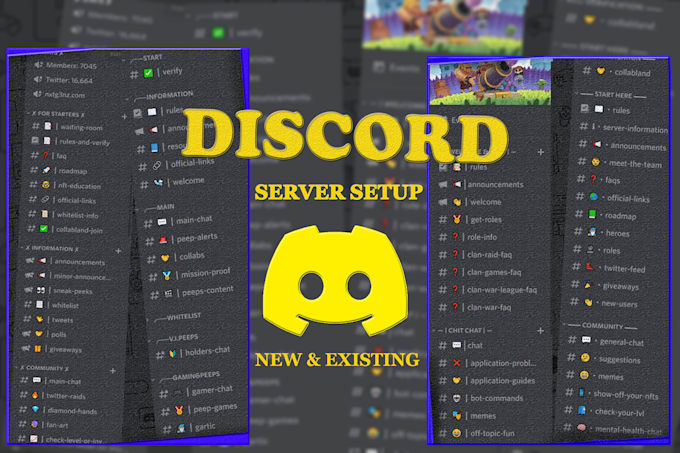 Gig Preview - Setup custom discord server professionally