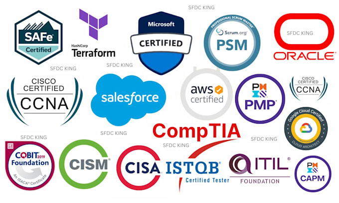 Gig Preview - Pass safe terraform itil cisa istqb AWS comptia microsoft pl ceh certifications