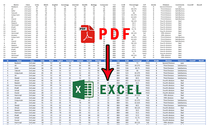 Gig Preview - Do fast data entry, typing, data cleaning,PDF to excel