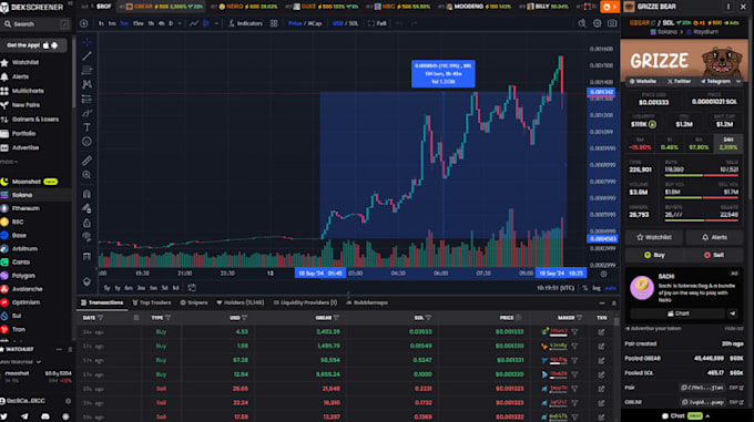 Gig Preview - Hype token, memecoin, sol, sunshot,moonshot,telegram promotion