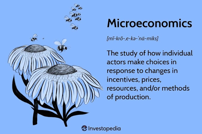 Gig Preview - Economic theories, microeconomics, macroeconomics, marketing