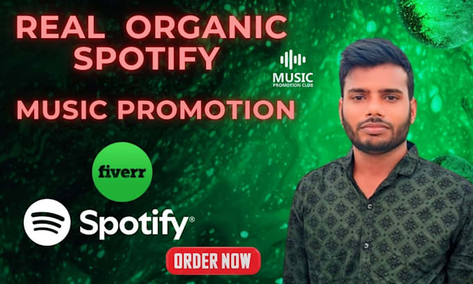 Gig Preview - Promote your spotify music through ads campaign