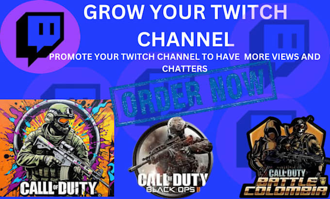 Gig Preview - Boost your twitch channel to have more views, followers and chatters