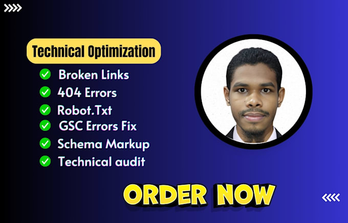 Gig Preview - Fix broken links, 404 errors, schema markup and technical optimization