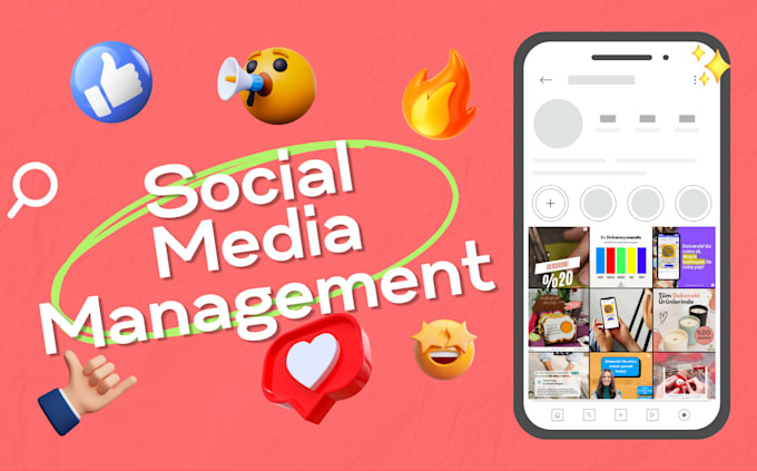 Gig Preview - Manage your social media accounts