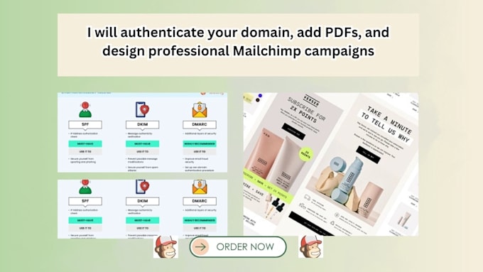 Gig Preview - Authenticate your domain, add pdfs, and design professional mailchimp campaigns