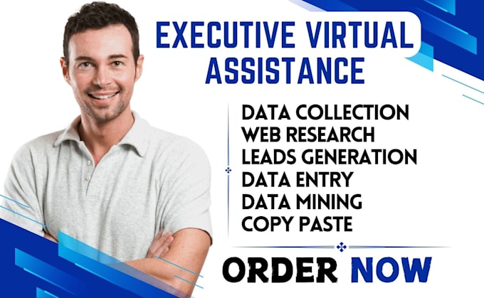 Gig Preview - Data entry personal and executive virtual assistant VA assistant