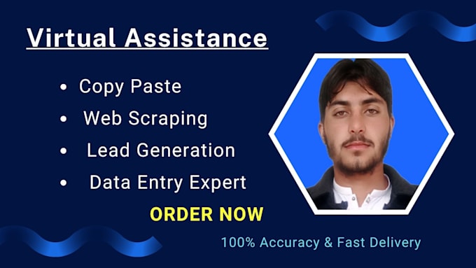 Bestseller - data entry, copy paste, data collection and excel data entry