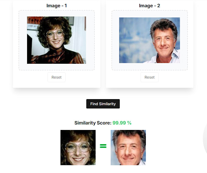 Gig Preview - Develop a face comparison API for accurate similarity detection