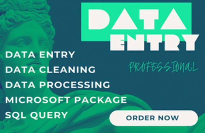 Bestseller - provide accurate and fast data entry services