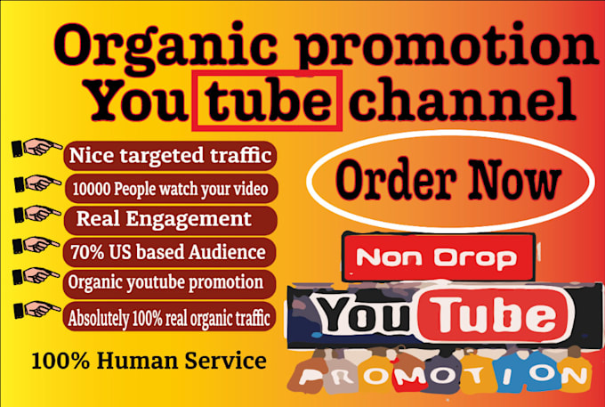 Gig Preview - Do super fast organic youtube video promotion