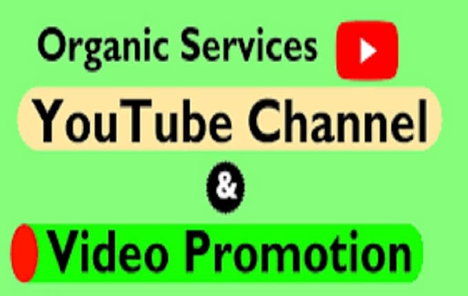 Gig Preview - Do video promotion to complete youtube channel monetization