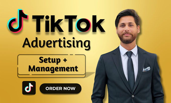 Gig Preview - Setup and manage tiktok ads campaign for sales and leads