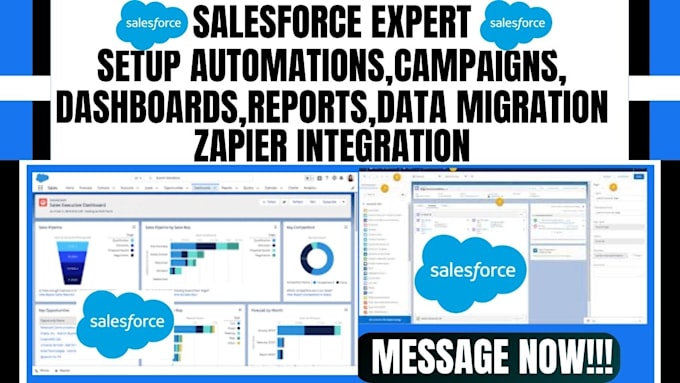 Gig Preview - Create salesforce dashboards,reports,workflow sales pipeline,campaigns lightning