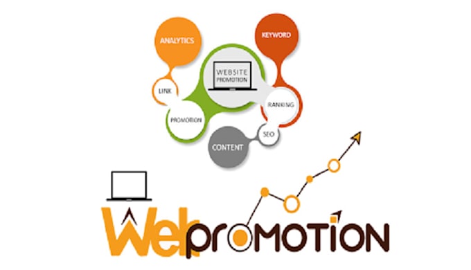 Gig Preview - Do website promotion through social media ads campaign with organic traffic