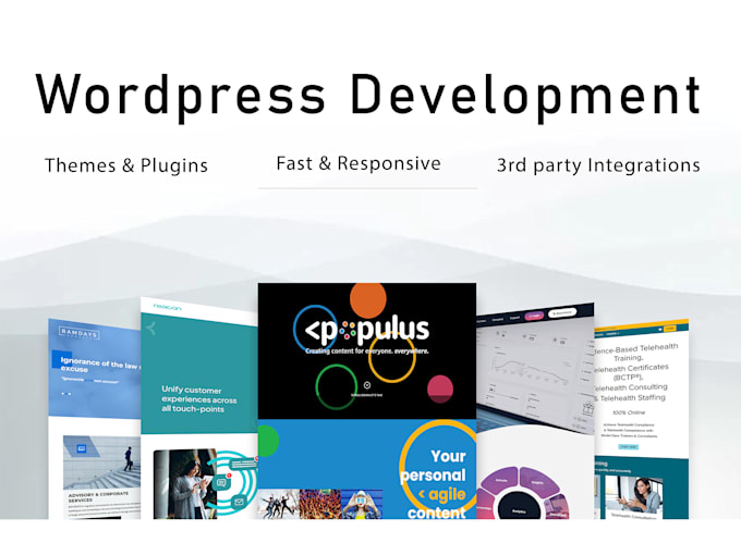 Gig Preview - Build an ecommerce store for you on wordpress