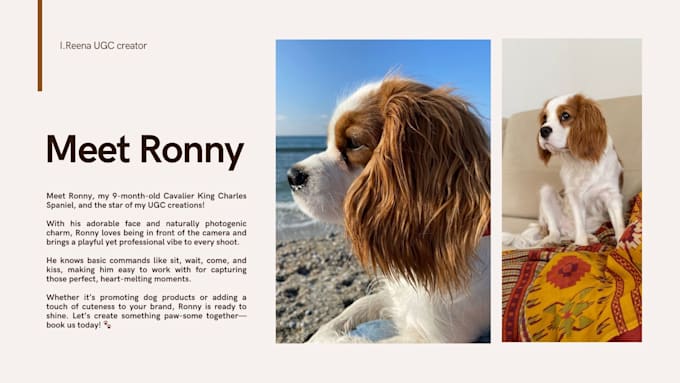 Gig Preview - Create authentic ugc videos for dog products