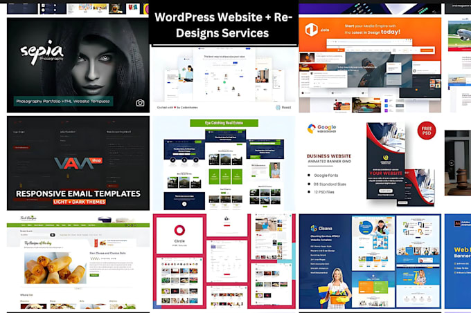 Gig Preview - Build wordpress website or redesigns website