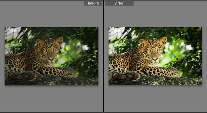 Gig Preview - Retouch your photos and remove backgrounds professionally