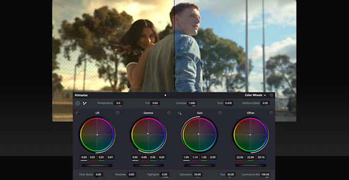 Gig Preview - Enhance your videos with color grading