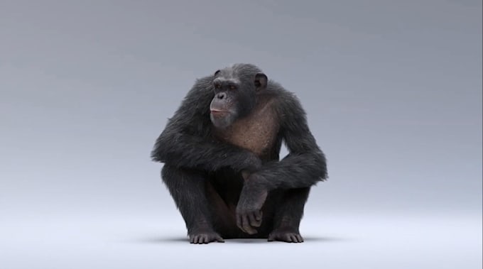 Gig Preview - Create 3d character animation, character design, 3d animal model ,rig character