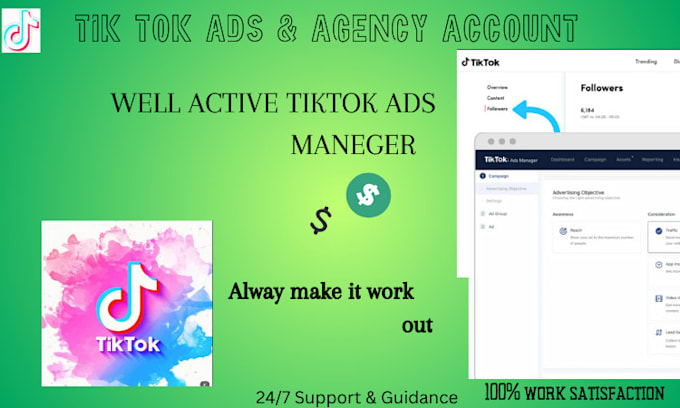 Gig Preview - Create tik tok agency account and tiktok ads agency account, tiktok ads manager