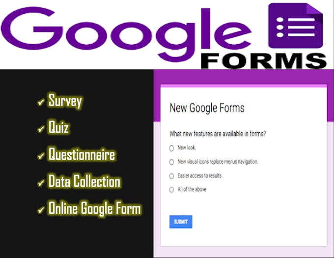 Gig Preview - Create professional google form in few hours