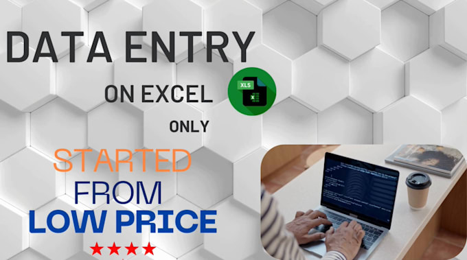 Gig Preview - Do data entry in excel