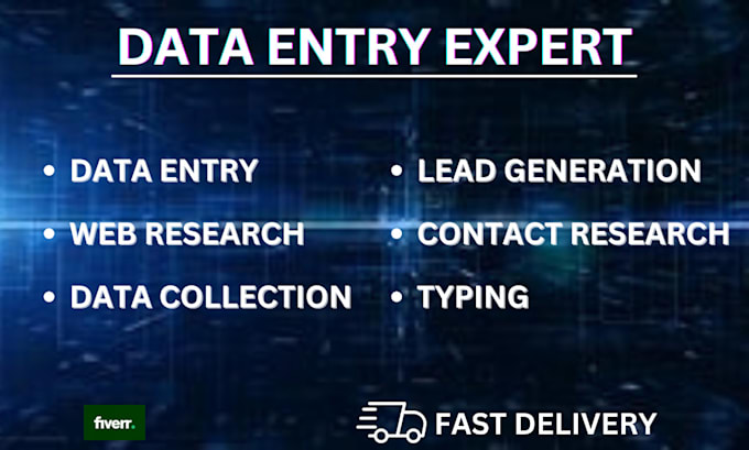 Gig Preview - Do fast and accurate data entry