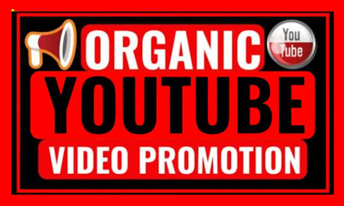 Gig Preview - Promote and market your youtube videos organically through social media