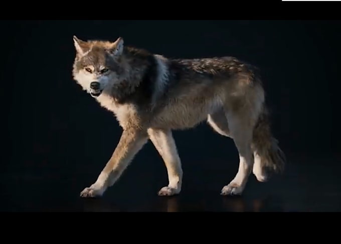 Gig Preview - Realistic 3d animal model, 3d animal rigging, xgen groom fur character animation