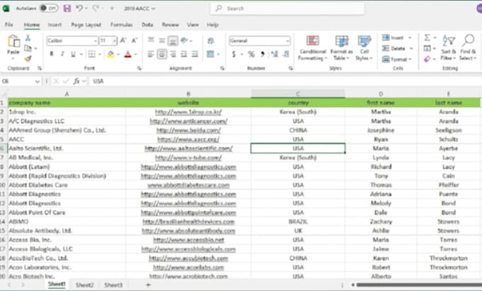 Gig Preview - Do data entry, convert pdf to word, ms, excel data entry