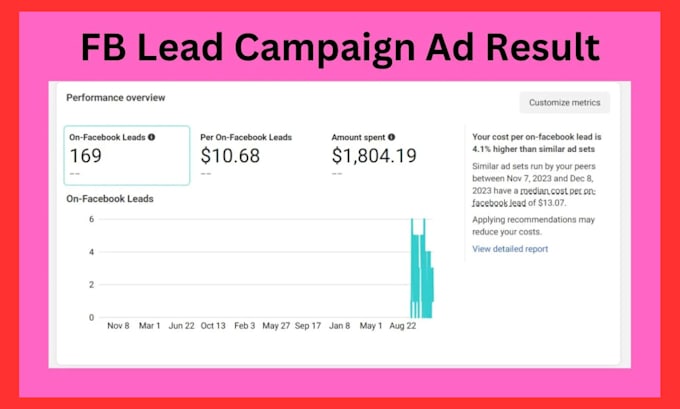 Gig Preview - Be your facebook and instagram ads campaign manager