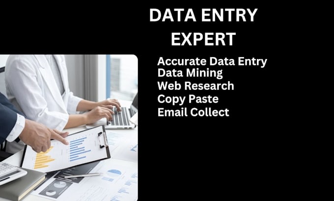 Gig Preview - Do professionally any type of data entry within 24 hours