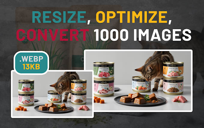 Gig Preview - Resize, optimize, convert to webp the images for the web